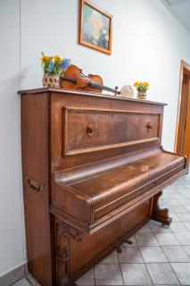 Wildrast by PANI - 7