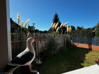 Strandhaus Graalibu - 6