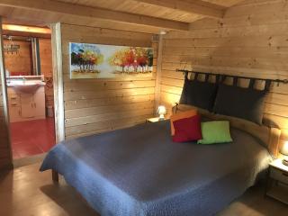 Le Mas de la Pinède - Bollène - 9