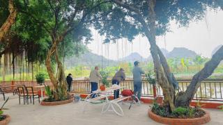 Trang An Natura Bungalow - Ninh Binh - 8