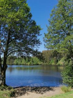 Gemütliche Auszeit zu Zweit im Rothauser Land - Grafenhausen - 5