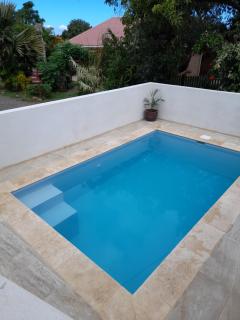 ti bois de nefles cocos duranta - Saint-Louis - 4