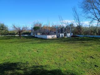 Casa de Campo Los Manueles Ideal Perros Pet Friendly - 4