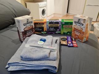 Cozy Detached Studio Retreat with Kitchen & Bath - Bletchley - 2