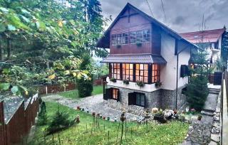Oaki Forest Predeal - Predeal - 0