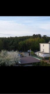 Mazur - Mielno - 2