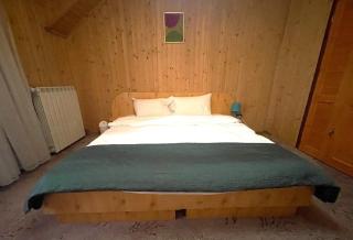 Oaki Forest Predeal - Predeal - 1