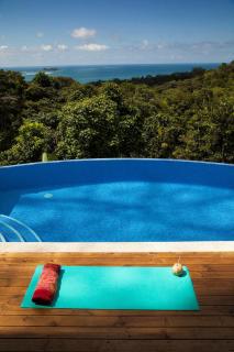 Ocean View Villa With Pool and Spectacular Sunsets - Ballena - 3