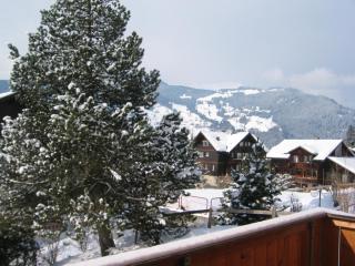 Delightful 4star Chalet Kiwi Apt - Grindelwald - 9