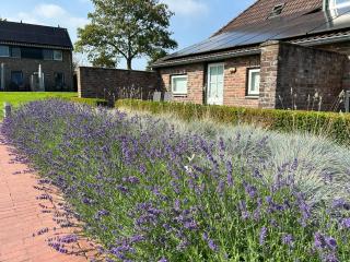 vakantiewoning Gulp bij Het Plateau Heijenrath - Heijenrath - 4