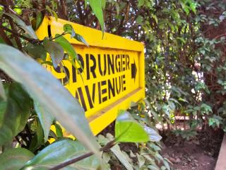 Tulia Homes - Sprunger Avenue - Uru - 7