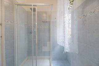 Windrose The Cat - 6