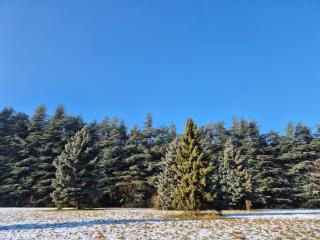 Várhegy apartman - 4