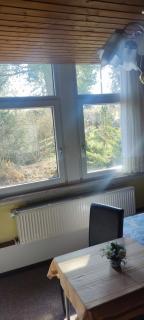 Pension Fischer Alte Windmühle - Plauen - 2