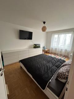 Gemütliche Wohnung in Basel, nahe am Rhein - Bazel - 0