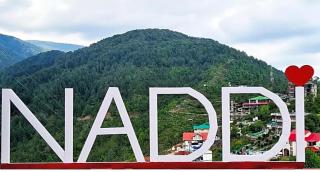 Hotel Victoriya Palace,Mcleod Ganj - McLeod Ganj - 4