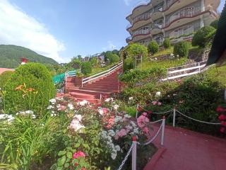 Hotel Victoriya Palace,Mcleod Ganj - McLeod Ganj - 6