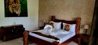 Andrea tour and hotel - Uroa - 6