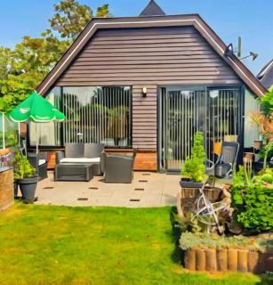 Cozy house till 6 guests near Amsterdam and the sea - 9