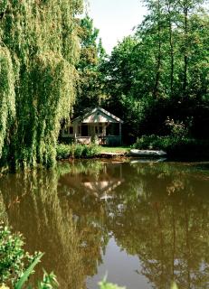 Huisje aan de Vijver - Hamme - 5