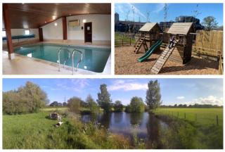 Acorns - Plaitford - 6
