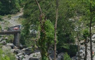 Hotel Victoriya Palace,Mcleod Ganj - McLeod Ganj - 8