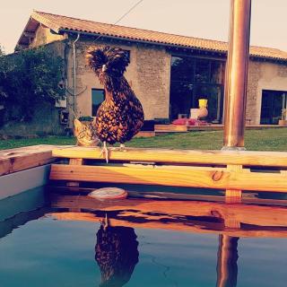 Gîte en matériaux naturels Sauna, couchers de soleil et chevaux - Vausseroux - 2