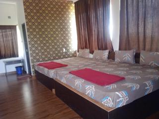 IR FARMS, Yelagiri - Yelagiri - 5
