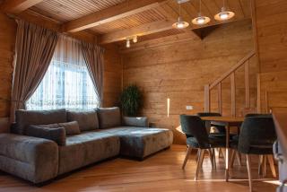 Zolota Forel Hotel - Korostov - 1