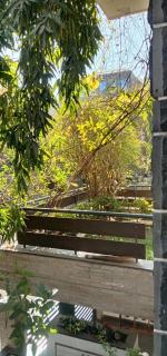 Gulmohar - Rajkot - 8