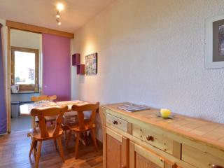 Studio confortable au centre avec balcon, animaux admis - FR-1-181-2369 - La Plagne Tarentaise - 8