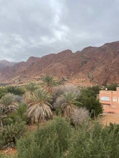 Auberge Gitelkst - Tafraout - 5