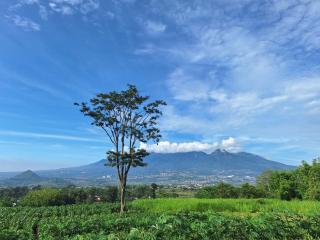 Casadena Malang F21 - Malang - 2