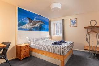 Discovery Accommodation - Whitby - 0