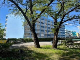 Bright apartment near the beach in Bibione - Bibione - 7