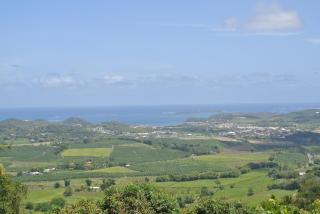 Joli T2 au calme vue mer avec grande piscine - 4