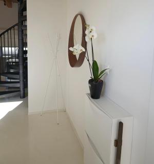 Villa OLIVA - - 1