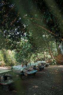 Camilas Beach House - Savegre - 8