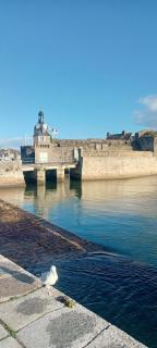 T2 Petit nid douillet proche de la plage et la ville close - Concarneau - 3