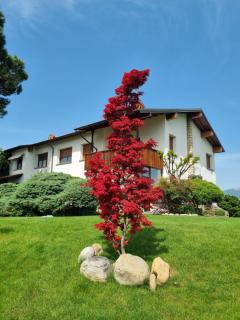 B&B Fontanella - Curno - 9