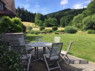 Chambre d'hôtes La Forestière - Le Hohwald - 9