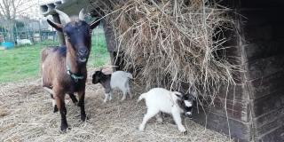Maison entre Seine et forêt - 2