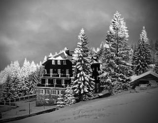 Apartman v Beskydech - Staré Hamry - 8
