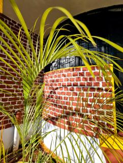 Villa De Bella - Pondicherry - 6