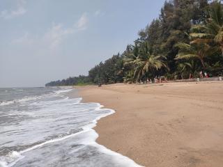 OTP Holiday Home at Alibaug - 4