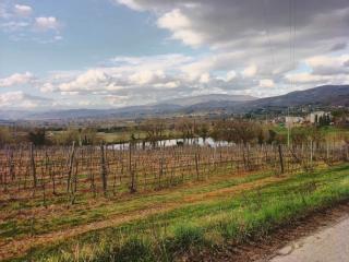 Bed And Breakfast Loriana - Arezzo - 8