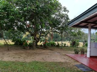 The Silent Nest - Guest House - Kamburugamuwa - 5
