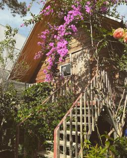 Nature-inspired Chalet - September Garden Homestay - Da Lat - 0