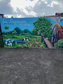 les capucines du volcan allée coco - La Plaine des Cafres - 1