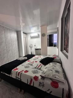 Apartamento días - weeks with kitchen - Santa Fe de Antioquia - 8